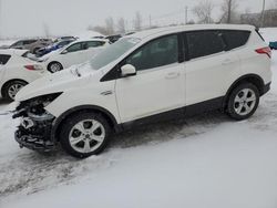 Salvage cars for sale at Montreal Est, QC auction: 2015 Ford Escape SE