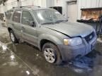 2006 Ford Escape XLT