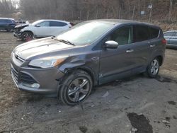 2013 Ford Escape SE en venta en Marlboro, NY