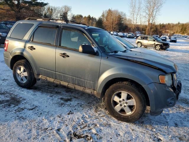 2010 Ford Escape XLT