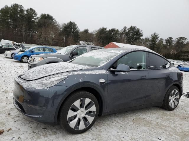 2020 Tesla Model Y