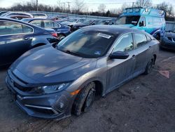 Salvage cars for sale at auction: 2019 Honda Civic LX