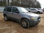 2007 Ford Escape XLT