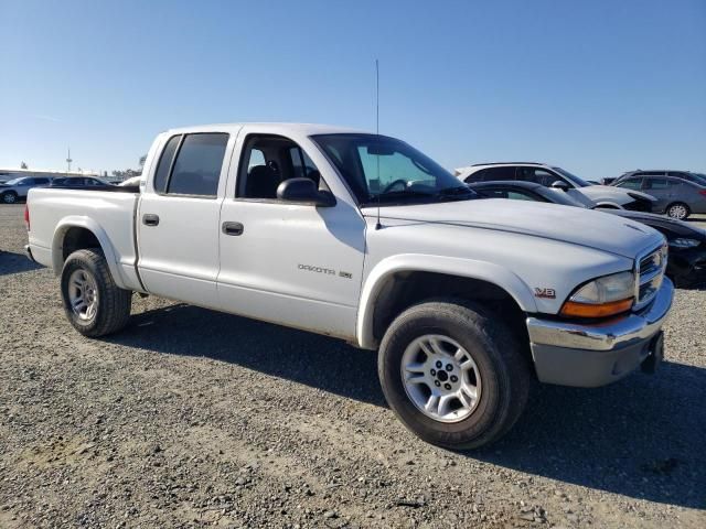 2001 Dodge Dakota Quattro