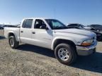 2001 Dodge Dakota Quattro