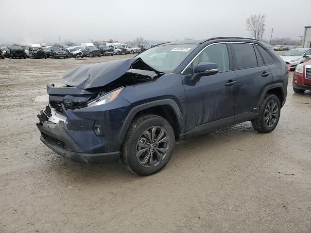 2024 Toyota Rav4 XLE Premium