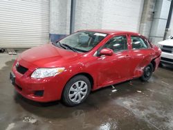 Salvage cars for sale from Copart Ham Lake, MN: 2010 Toyota Corolla Base