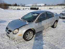 Carros salvage a la venta en subasta: 2003 Dodge Neon SXT