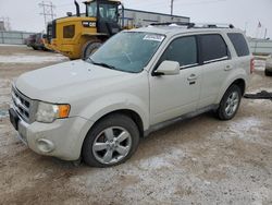 Salvage cars for sale from Copart Bismarck, ND: 2009 Ford Escape Limited