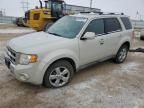 2009 Ford Escape Limited