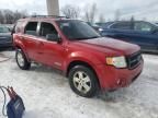 2008 Ford Escape XLT