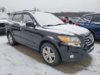 2010 Hyundai Santa FE SE