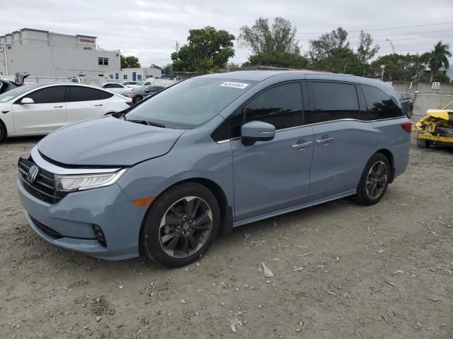 2024 Honda Odyssey Elite