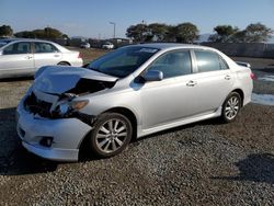 Salvage cars for sale at auction: 2010 Toyota Corolla Base