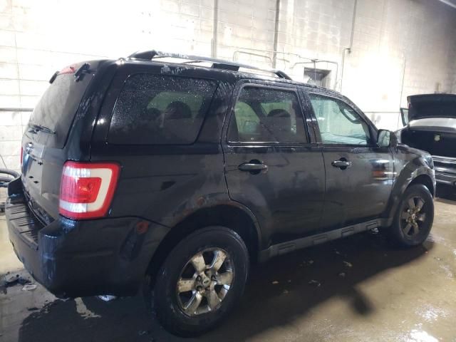 2011 Ford Escape Limited