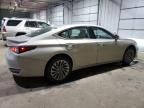 2022 Lexus ES 300H Base