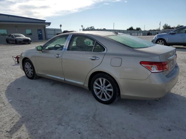 2010 Lexus ES 350