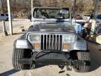 1994 Jeep Wrangler / YJ SE