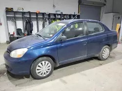 Salvage cars for sale at Candia, NH auction: 2003 Toyota Echo