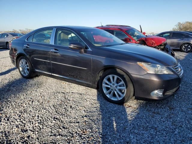 2010 Lexus ES 350