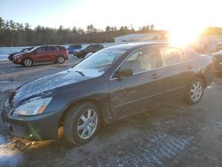 Honda salvage cars for sale: 2005 Honda Accord EX