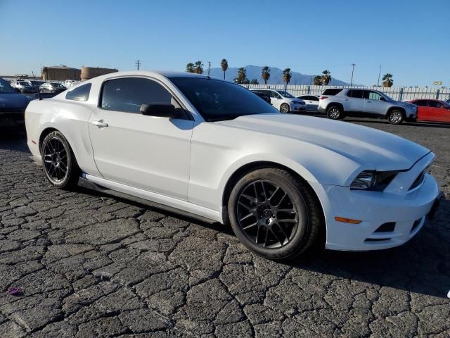 2013 Ford Mustang