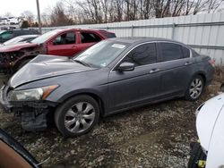 Salvage cars for sale at Windsor, NJ auction: 2009 Honda Accord EXL