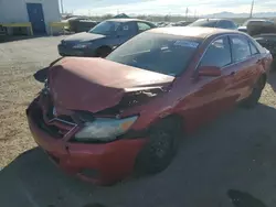 Salvage cars for sale at Tucson, AZ auction: 2010 Toyota Camry Base