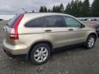 2007 Honda CR-V EX