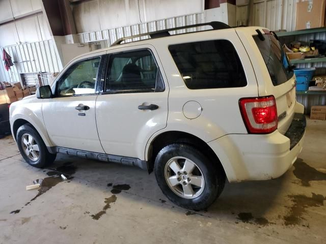 2009 Ford Escape XLT