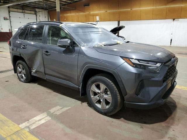 2023 Toyota Rav4 LE