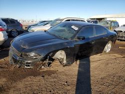 Dodge salvage cars for sale: 2023 Dodge Charger SXT