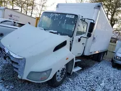 Salvage trucks for sale at Windsor, NJ auction: 2013 Hino Hino 338