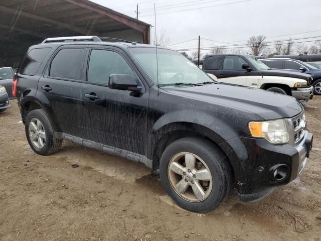 2010 Ford Escape Limited