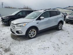 Salvage cars for sale at Albany, NY auction: 2018 Ford Escape SEL