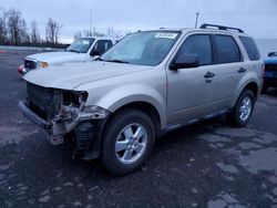 Salvage cars for sale at Portland, OR auction: 2012 Ford Escape XLT