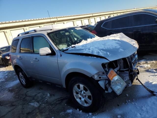 2011 Ford Escape Limited