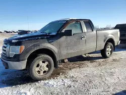 2009 Ford F150 Super Cab en venta en Rocky View County, AB