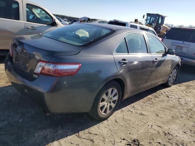 2009 Toyota Camry Hybrid