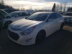 2011 Hyundai Sonata Hybrid en venta en Bowmanville, ON