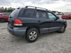 2006 Hyundai Santa FE GLS