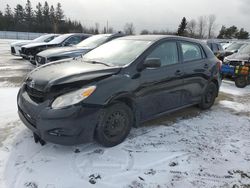 Toyota Corolla Matrix Vehiculos salvage en venta: 2012 Toyota Corolla Matrix