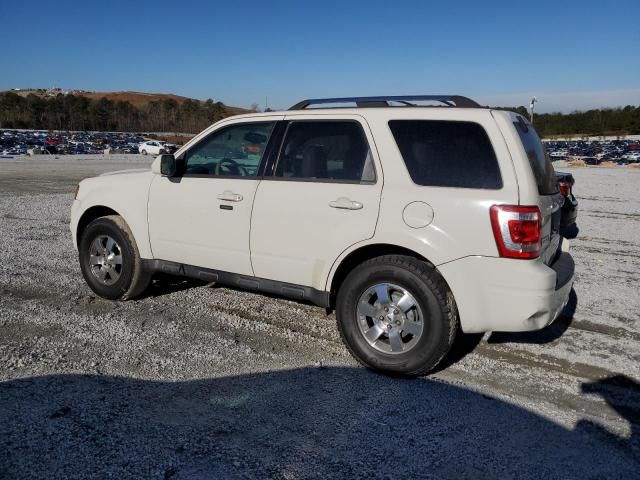 2011 Ford Escape Limited