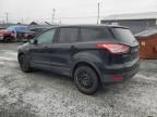 2013 Ford Escape S