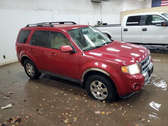 2011 Ford Escape Limited