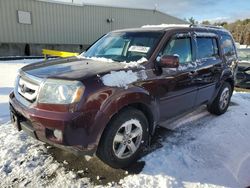 Honda salvage cars for sale: 2009 Honda Pilot EX