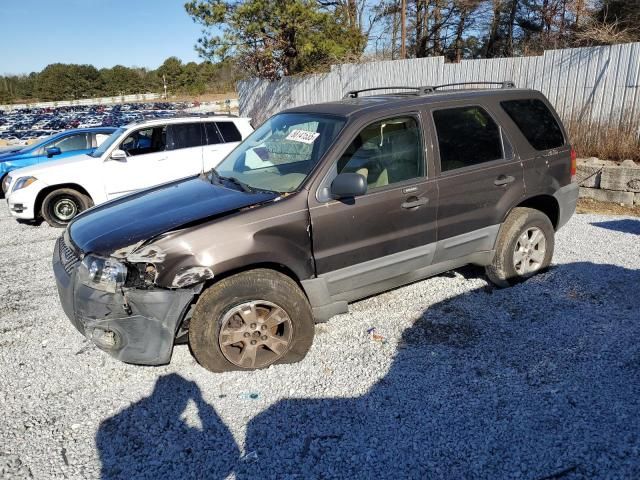 2007 Ford Escape XLT