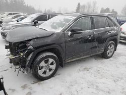 2023 Toyota Rav4 XLE en venta en Bowmanville, ON