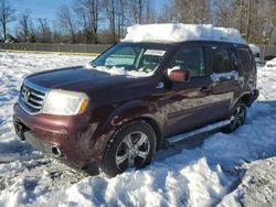 Salvage cars for sale at Waldorf, MD auction: 2015 Honda Pilot EXL