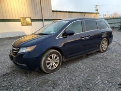 Honda Odyssey exl salvage cars for sale: 2016 Honda Odyssey EXL